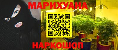 спайс Гусев